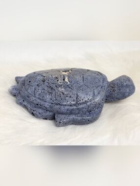 Blue Coral Fossil Turtle Carving Ocean Stone Crystal Sea Life Decor Rare